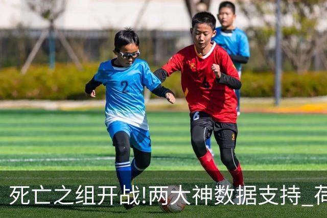 死亡之组开战!两大神数据支持 荷兰或小胜日本
